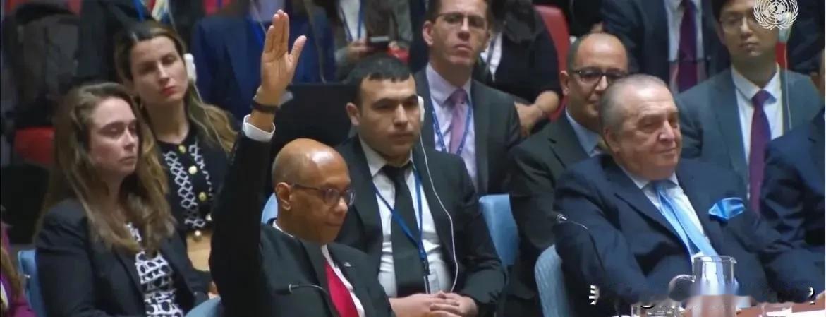 联合国安理会对巴勒斯坦申请成为联合国成员国进行了表决，结果是12票赞同、2票弃权