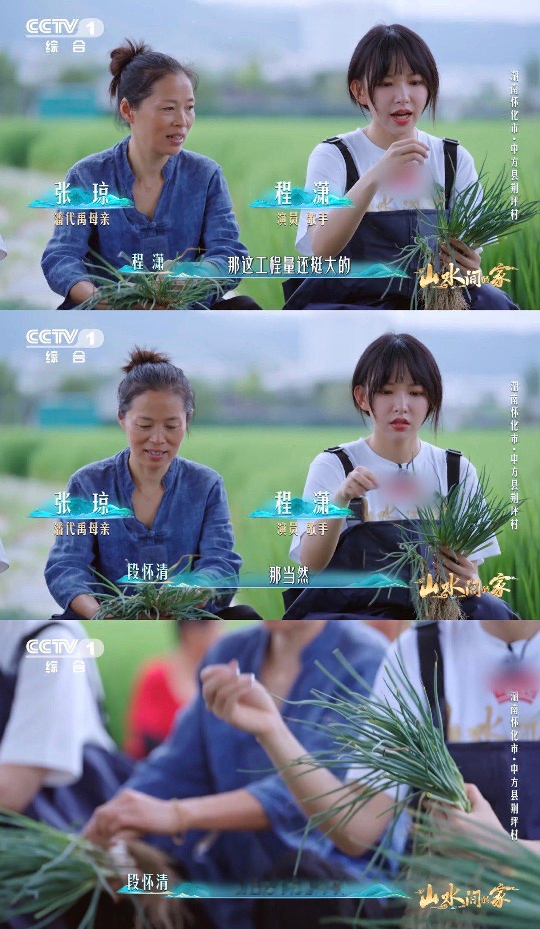 香葱早上也要梳头湖南村民给香葱做颜值管理原来香葱出门前也有“梳妆流程”！村民用手