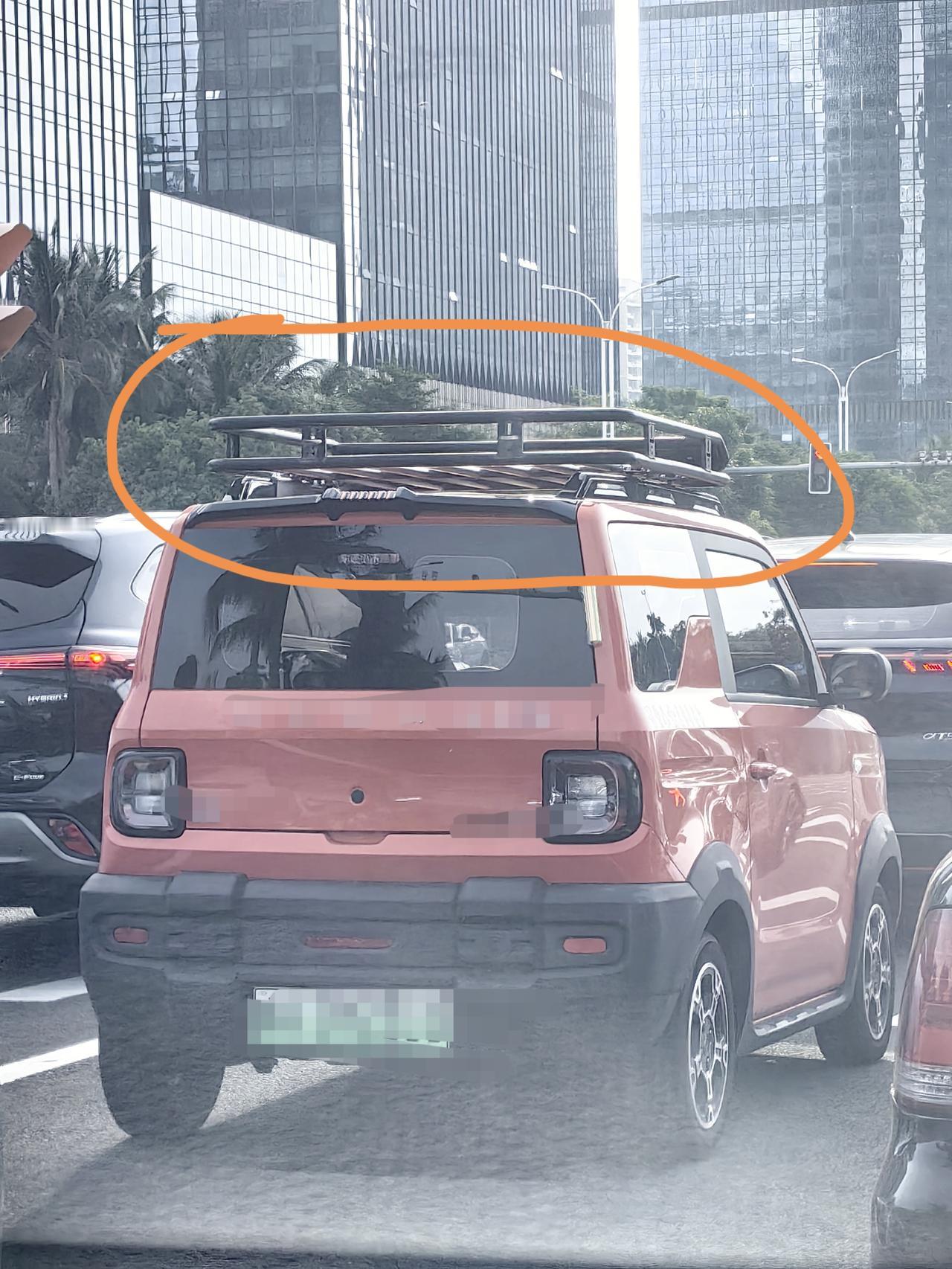 不懂就问问，两座的微型电车，装个行李架是为了何用？美观？越野？加固？总不能是用于