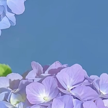 每日一善每日一善 如果你不相信努力和时光，那么成果就会是第一个选择辜负你的。不要