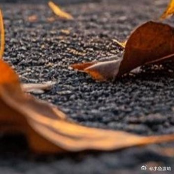 信任是一次纵身一跃你不再轻易相信谁了，受过伤之后，心外面裹了一层又一层的壳。可你