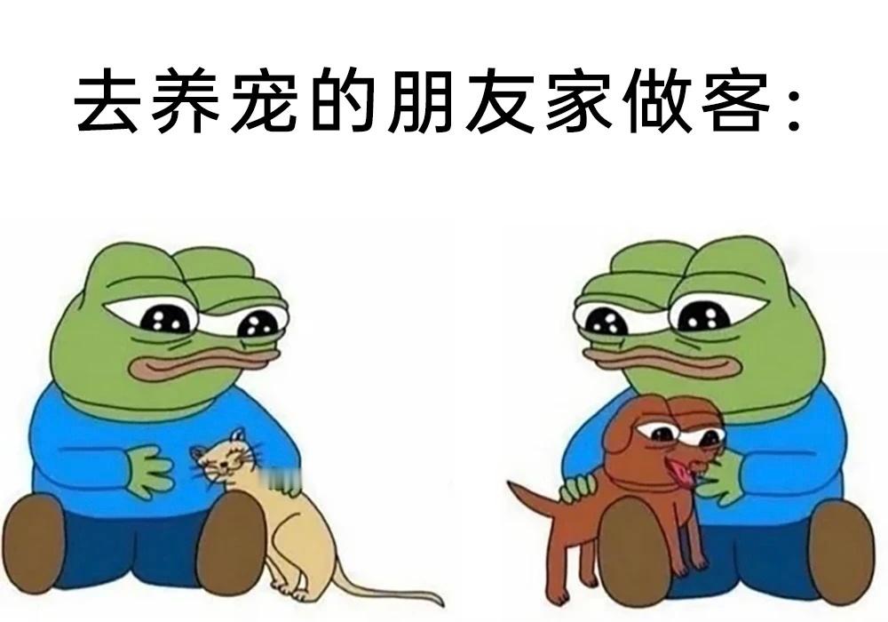 看见猫狗:嘬嘬嘬看见亲戚:低头玩手机meme ​​​