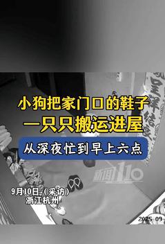 笑发财了！浙江杭州，一男子晚上回家时忘记关门，结果狗子半夜偷偷溜出去，将门口放的