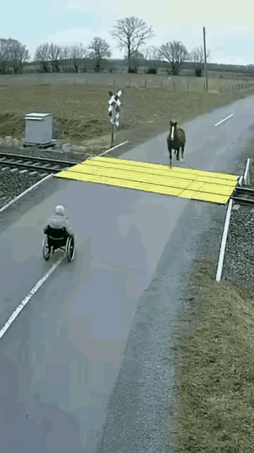 真没想到！危急关头救了老人一命的，竟是这匹马
 
       老爷子突发意外，