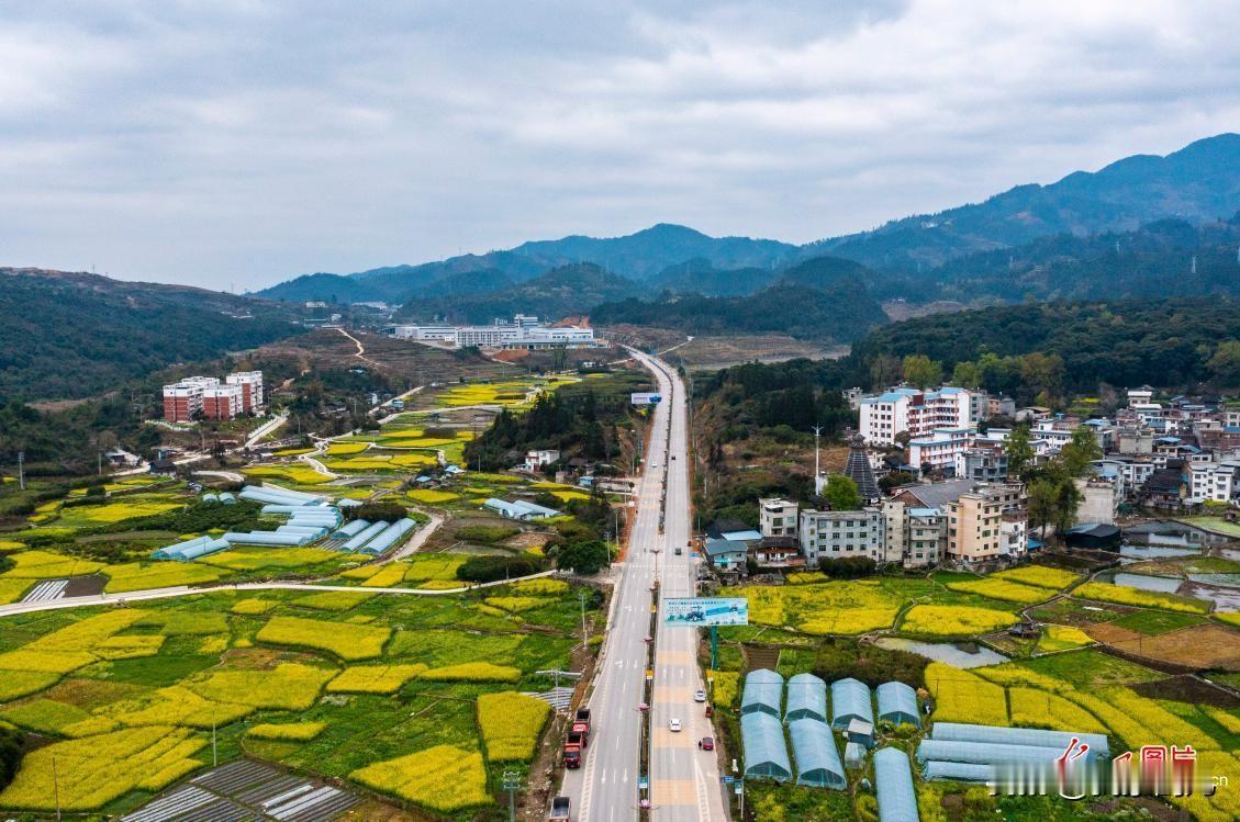 2025年“三农”成绩单核心要点：粮食总产、农业科技进步、农民增收。（图源网络）