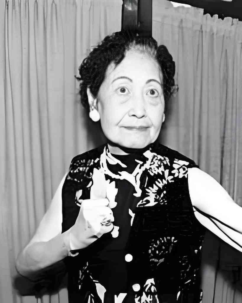 钱似莺，1909年生于上海，中国第一代武打女星，洪金宝的祖母。八岁入精武馆习武，