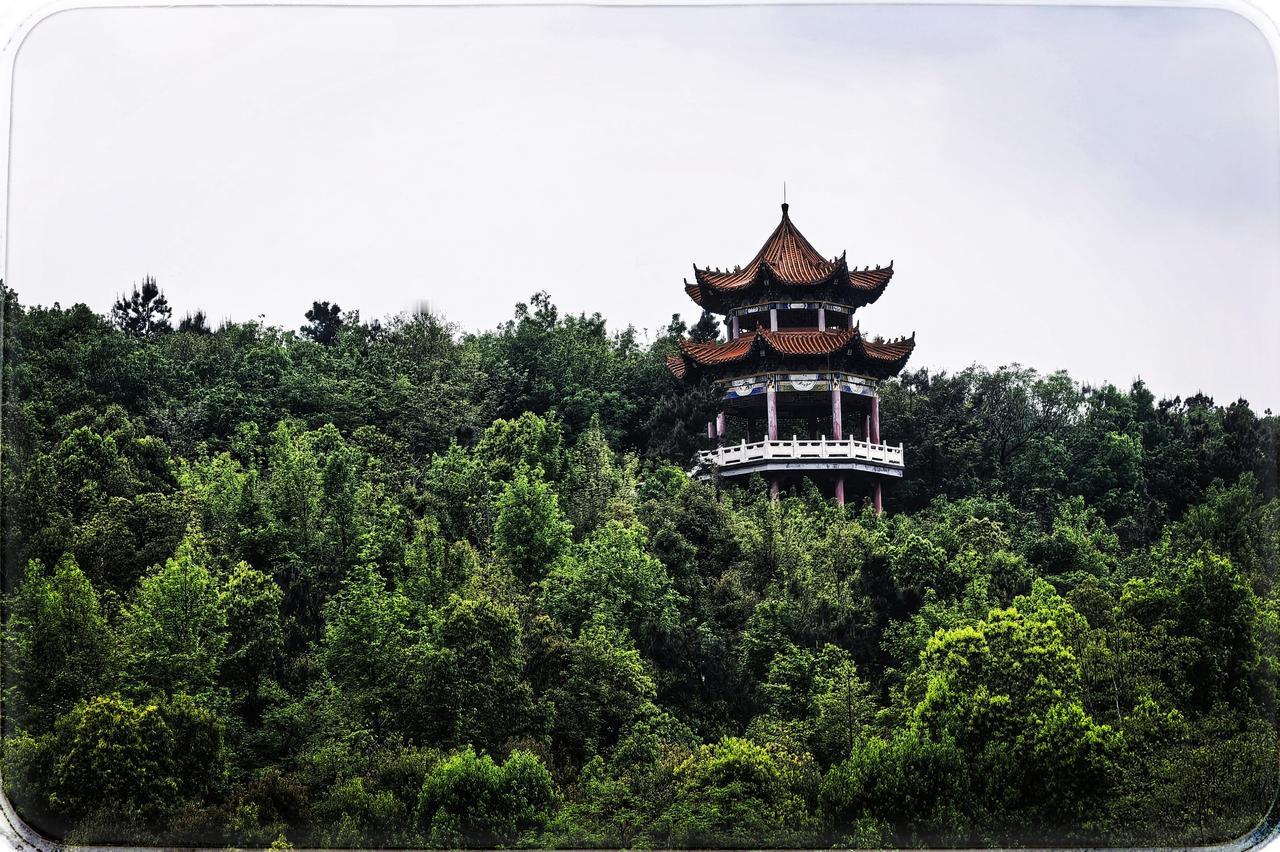 光谷二妃山公园之魅
在光谷的天地，二妃山公园立起，草甸风光，似梦幻的绮丽之诗。草