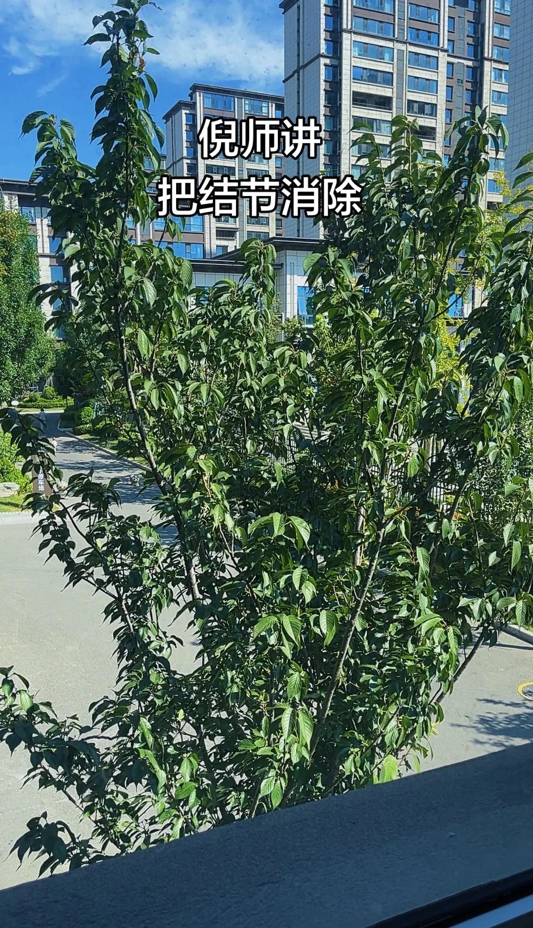 女排亚锦赛，中国队零封对手轻松取胜女排亚锦赛赛场，中国女排发挥稳定，攻防两端全面