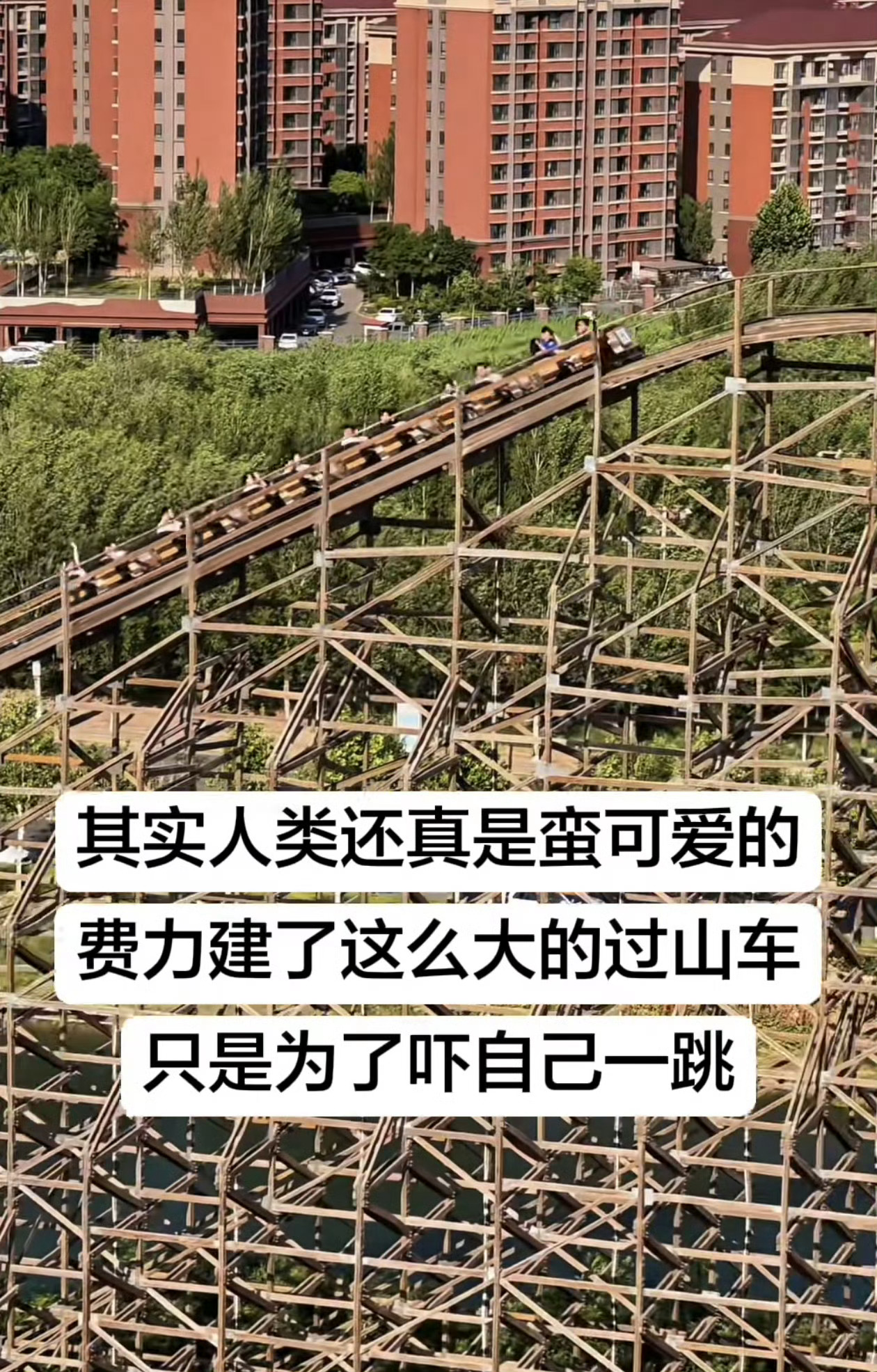 其实人类还真蛮可爱的 ​​​