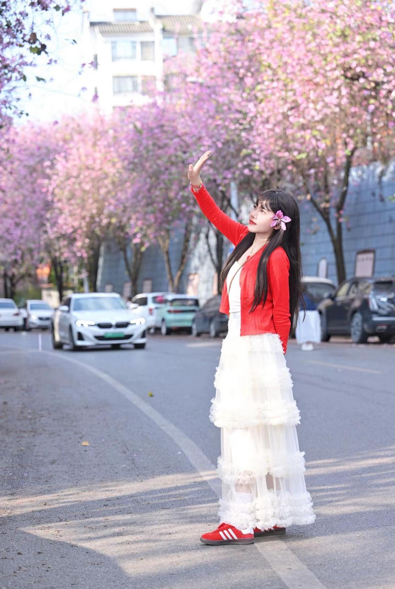 又是一年紫荆盛放时，风过处，落英如雨，抬头是春天，低头是浪漫。紫荆花 柳州 拍照