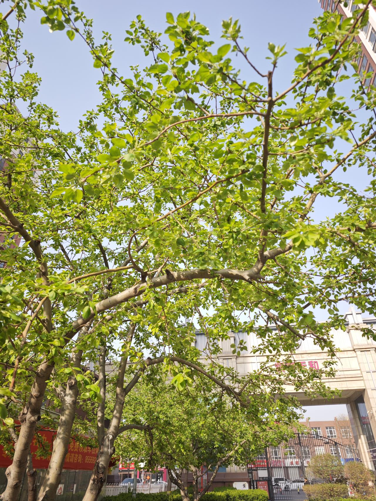工资一千八，心里乐开花；
工资两千五，清汤配白薯；
工资三千五，天天想跑路；
工