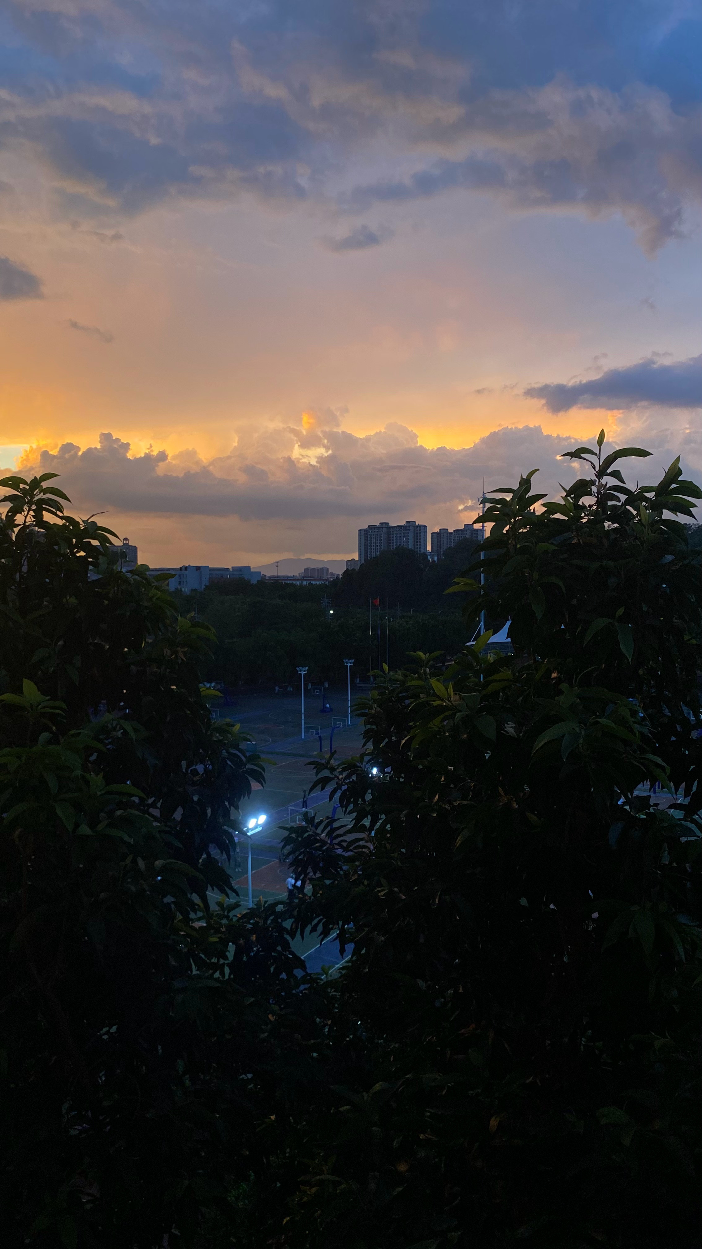 🌤️如果天气好的话♪(´ε｀ ) ​​​