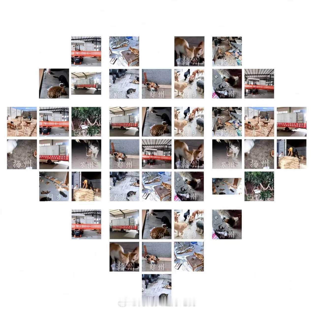 要不是被表扬，都不知道杨幂和粉丝做了这么多公益，幂姐本人常年低调做公益给麻鸟村捐