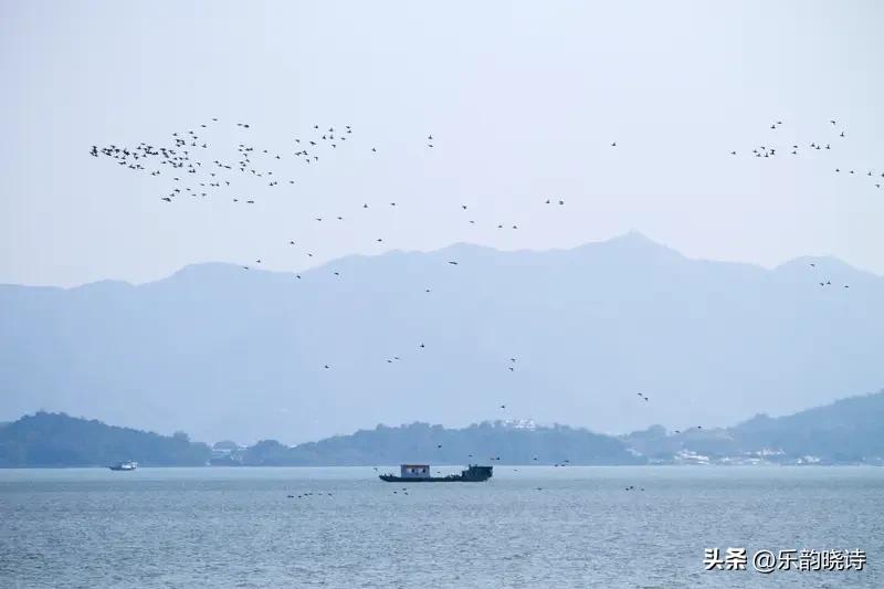 数字上“一湖啥岛”对“三山五岳”，“万鸟”对“八仙”，严丝合缝，意境里浩渺湖岛间