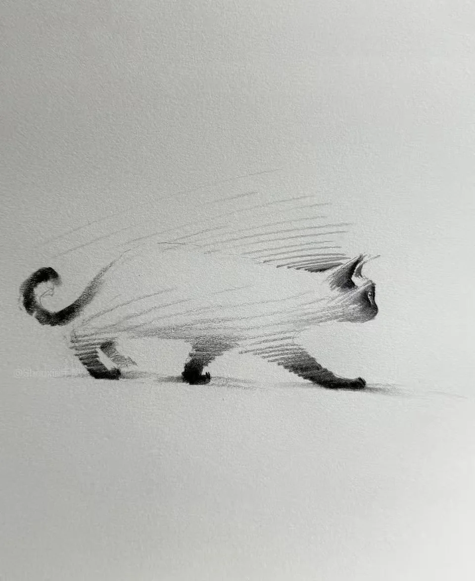 第一次见这样画猫的….