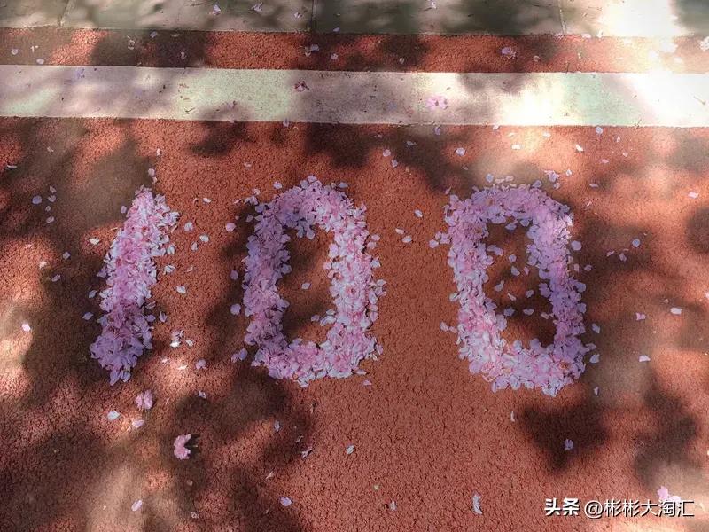 00后应不应该有压力，这事儿得分情况看。从社会层面讲，压力是存在的。截至2026