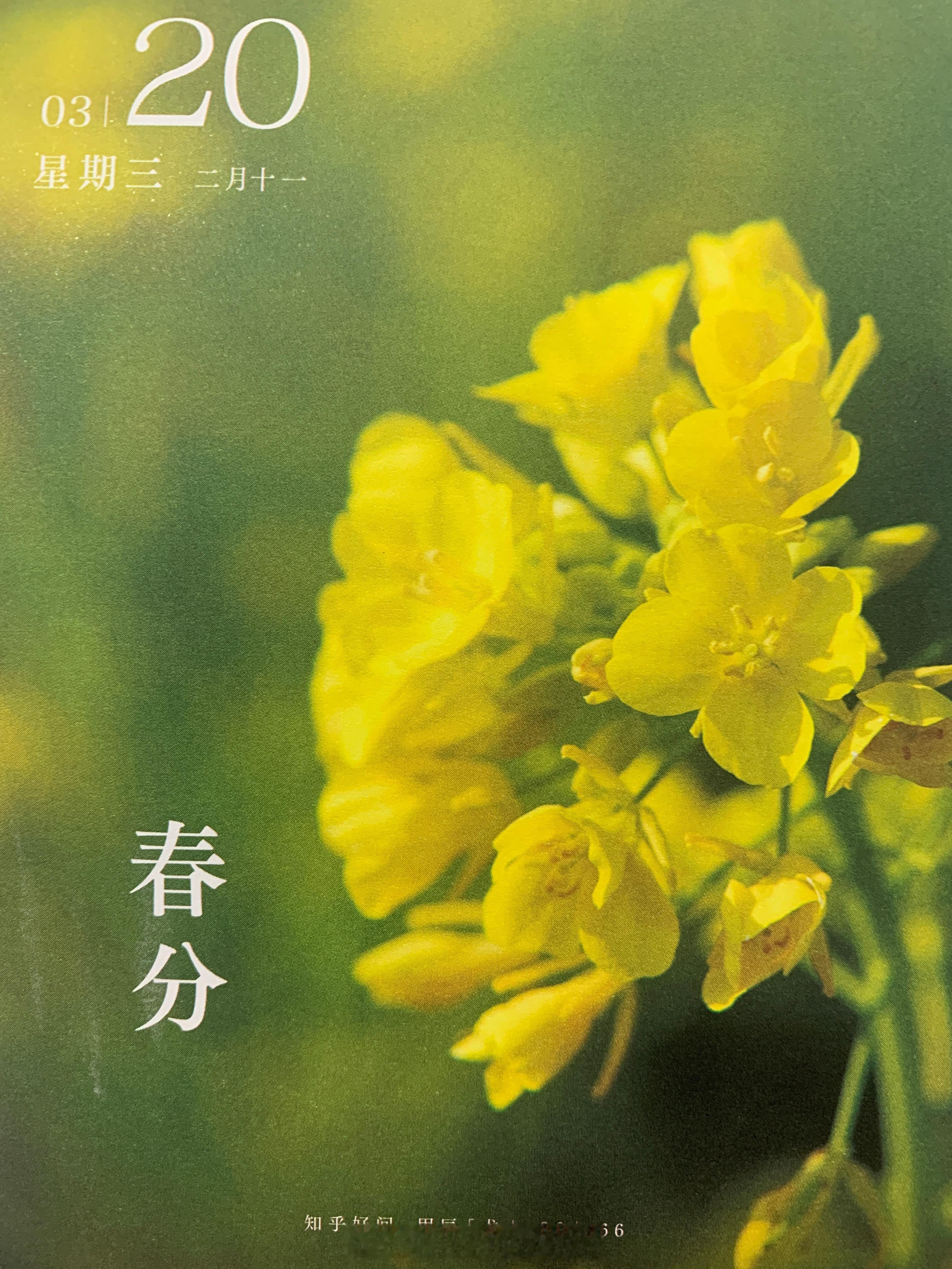 朋友们早，今天春分啦～ ​​​