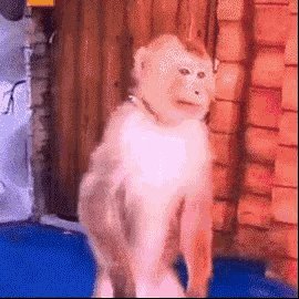 表情包:你吼这么大声干什么鸭 ​​​