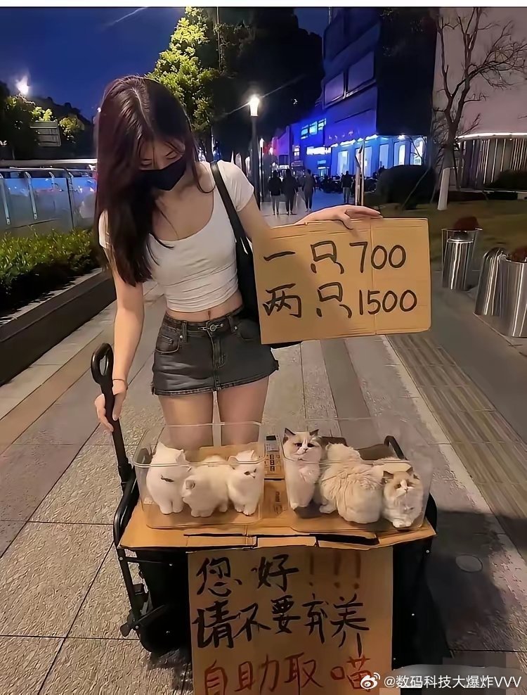 这是闲鱼卖硬币的翻版？ 