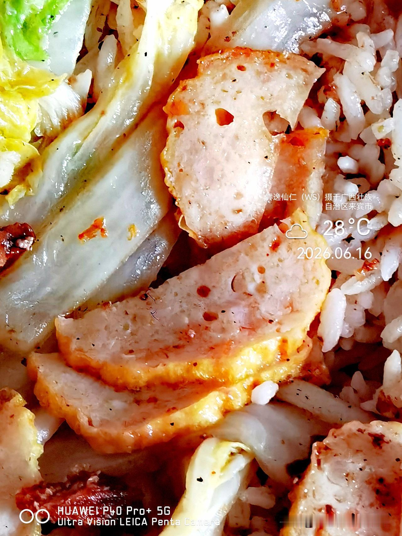 月居生活记录（9927）广西壮族自治区来宾市（152）品尝小吃60：扣肉饭（12