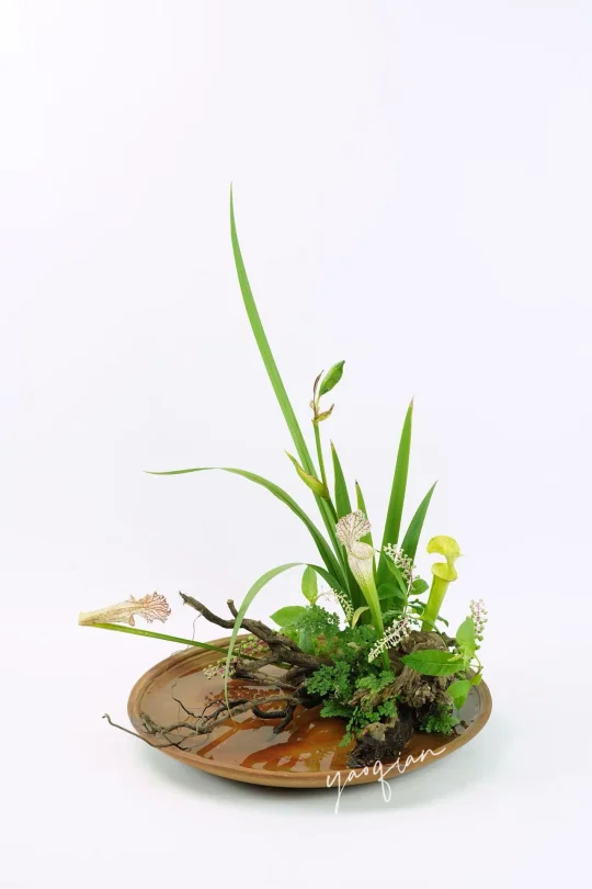 恭喜自己的作品再次入选《插花》杂志