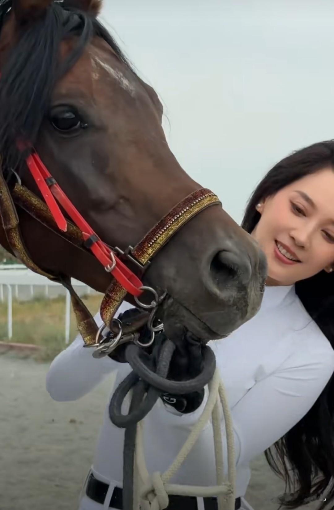 汪峰女友森林北状态


汪峰女友森林北骑马体验英姿飒爽，森林北性格很豪爽！气质绝