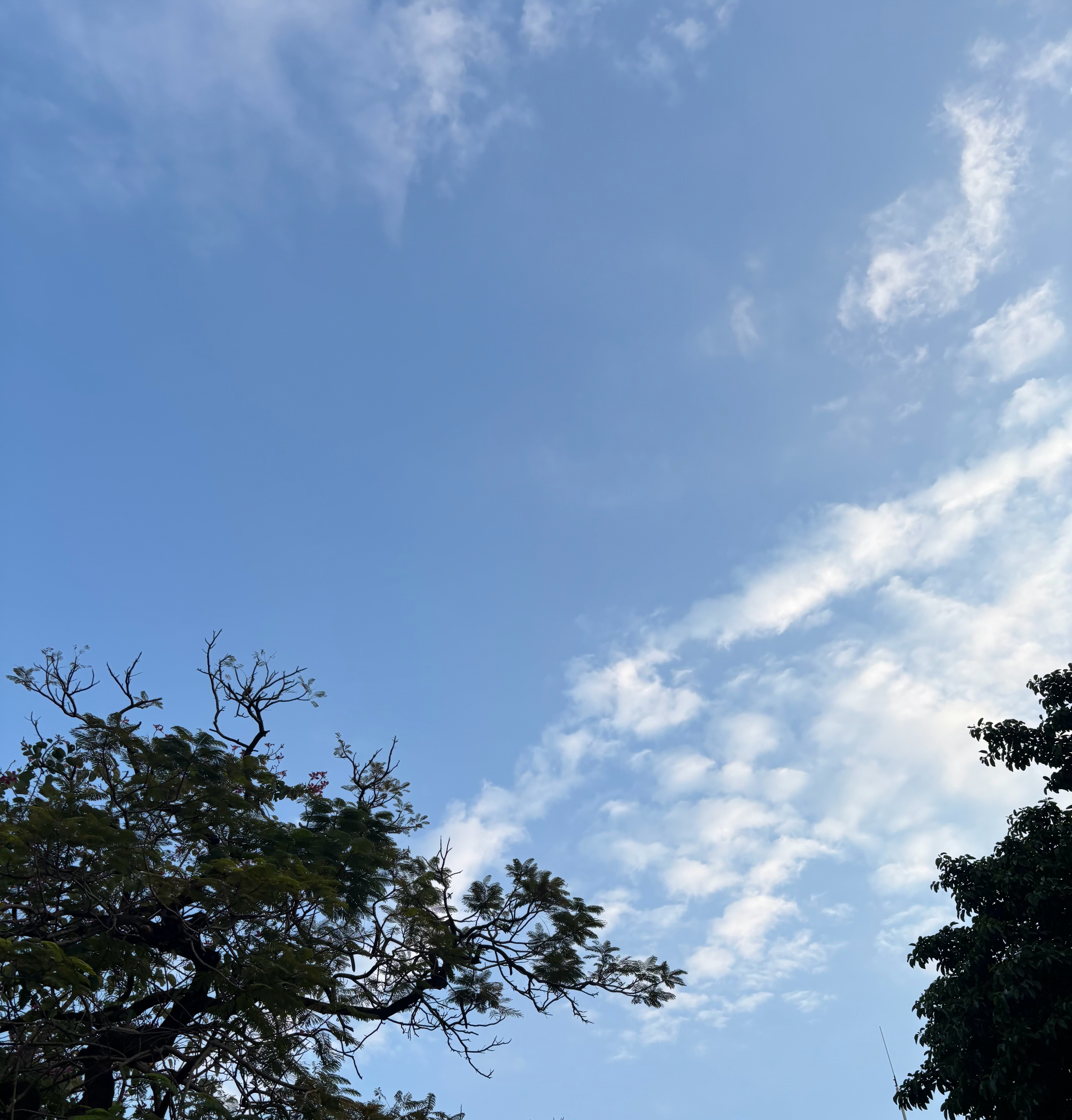 今年的班就上到这里啦bye bye💛 