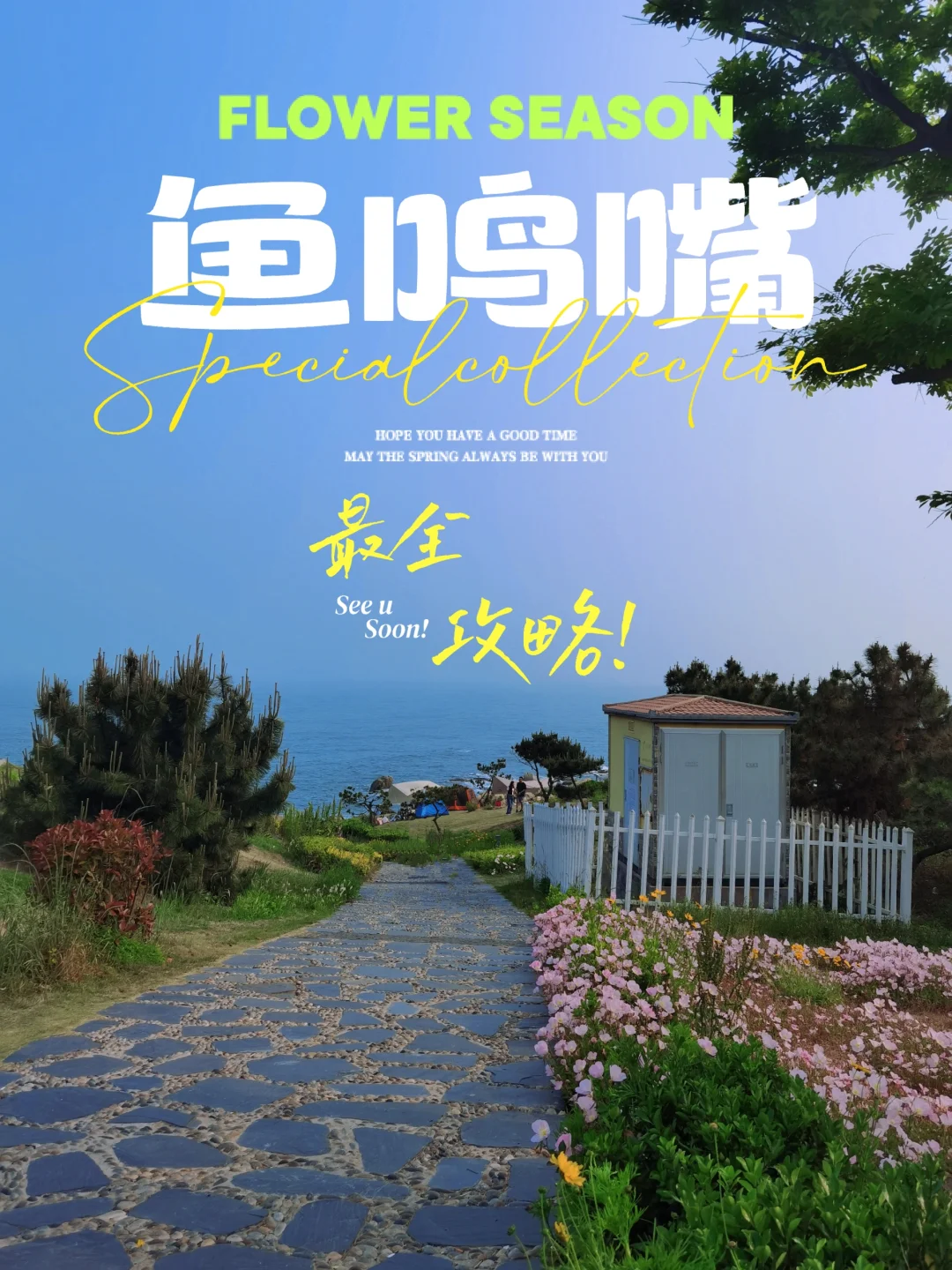 青岛低调到被人遗忘的绝美渔村 | 鱼鸣嘴❗