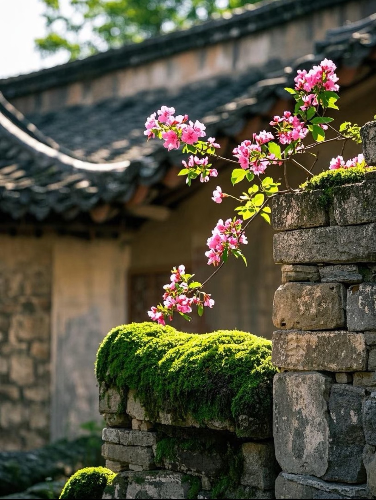 请及时更新自己来匹配美好的今天☀️ 