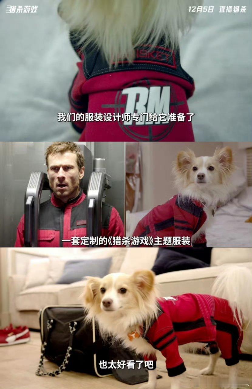 格伦·鲍威尔的双重魅力太吸睛了，猎杀游戏中演绎凌厉硬汉，戏外带狗进组全程相伴，为