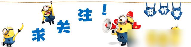 这棵玉树也太神了吧！云南有户人家养了23年的玉树，长得跟“成精”似的，开花时美到