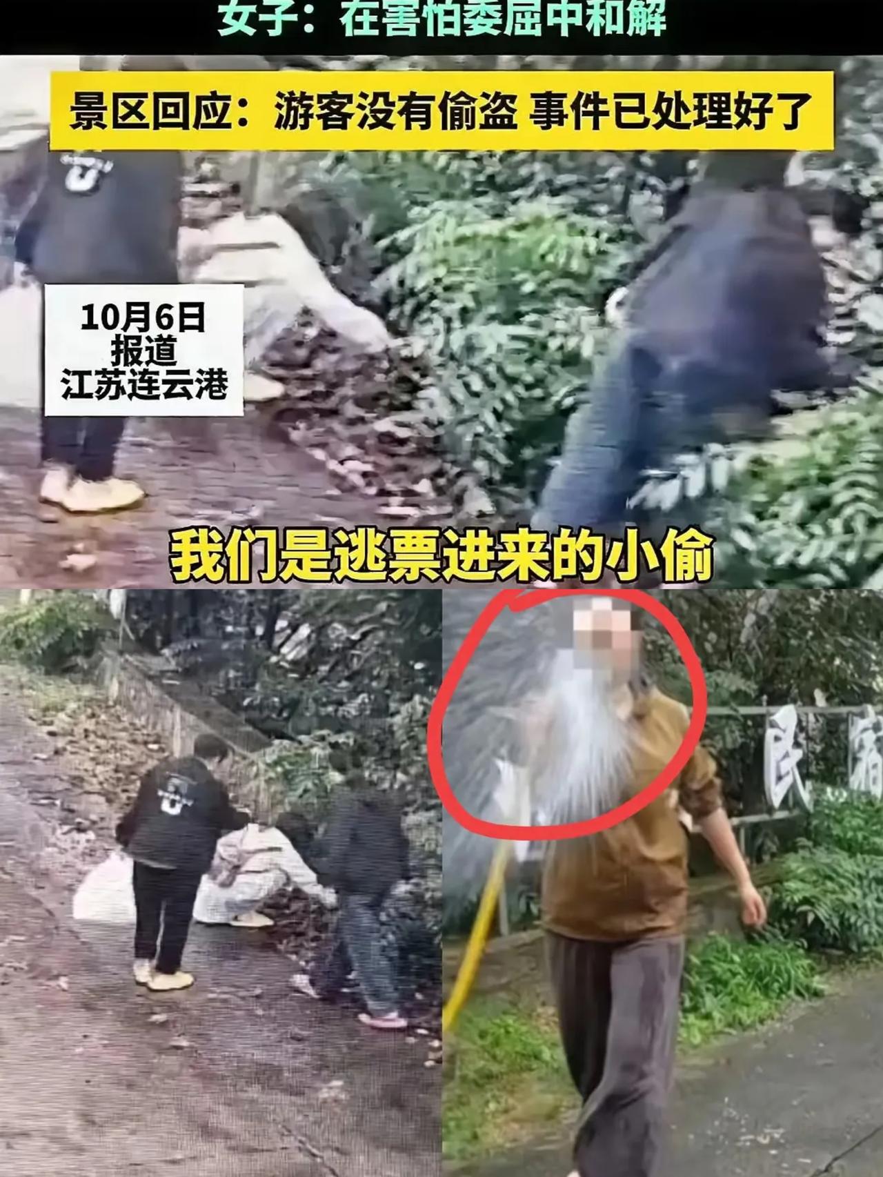谁懂得！
 
景区说板栗树是自己的，警方也明确游

客没偷窃，俩关键结论摆这儿，