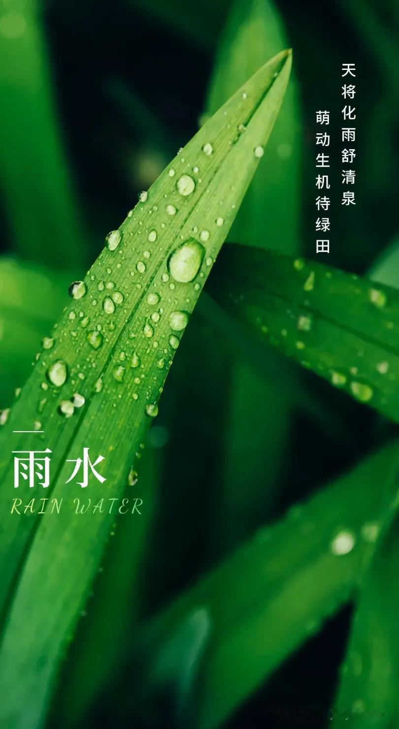 雨落生百谷，心暖自成春

    孟子说：“君子之所以教者五：有如时雨化之者，有