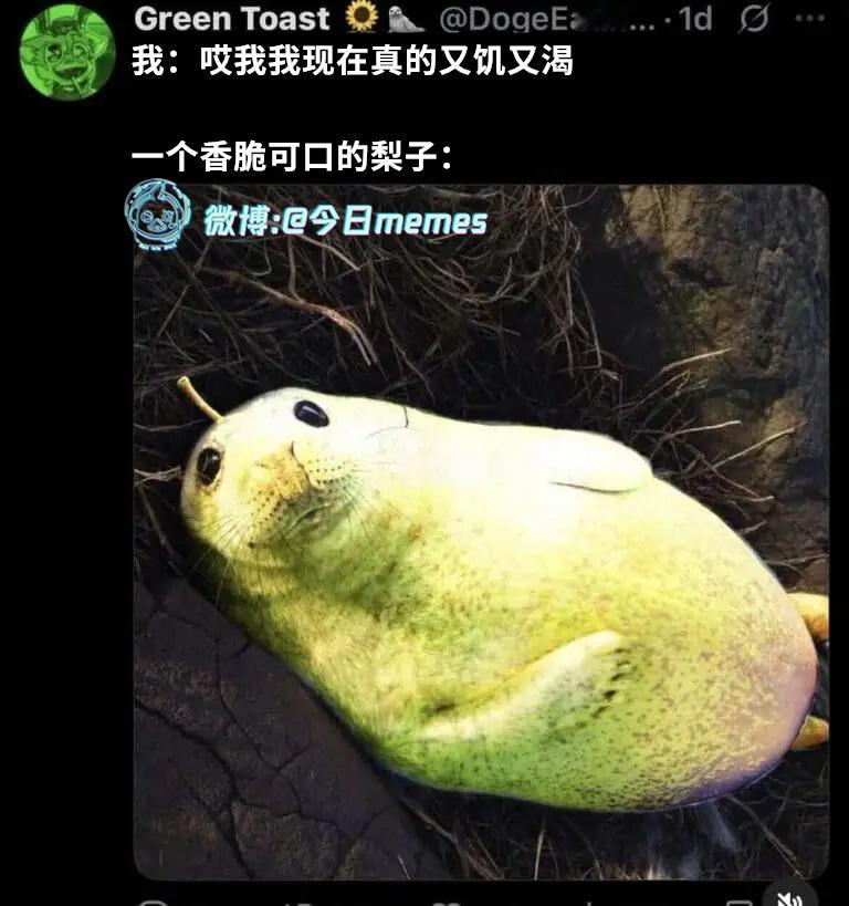 甘吗？（9gag）今日meme 今日memes