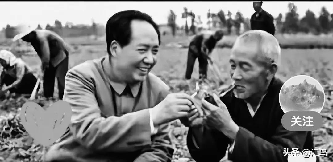 看到这个画面，使我想起了现实生活中，就有一些人稍微有俩臭钱，或者稍微有一点点小权