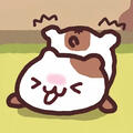 CAOMEI酱