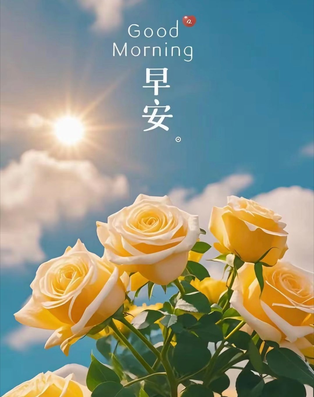 早安今日份的鼓励：整理心情，重新出发每一天都是全新的开始 