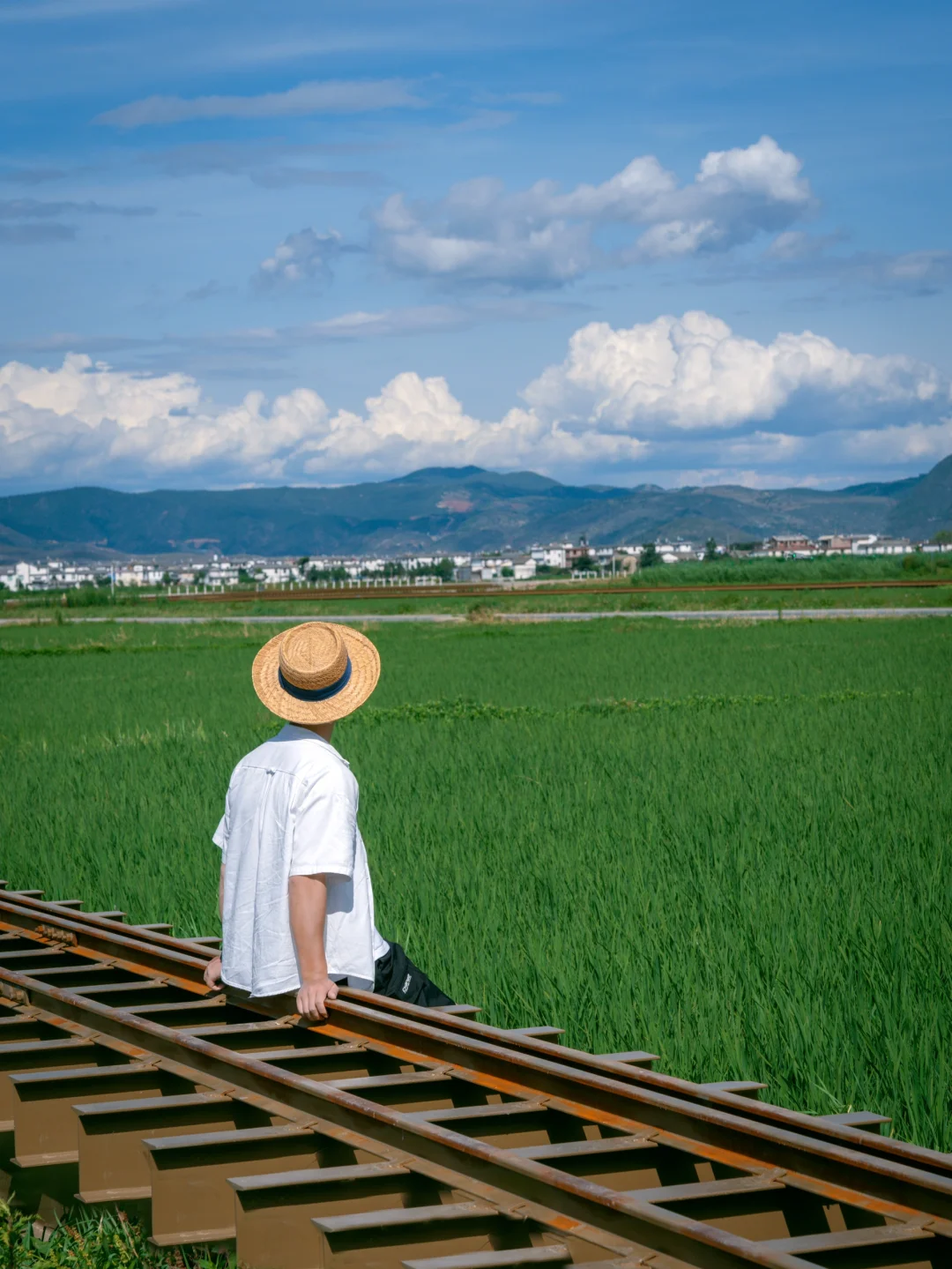 直到去了喜洲，满足了我对宫崎骏的一切幻想
