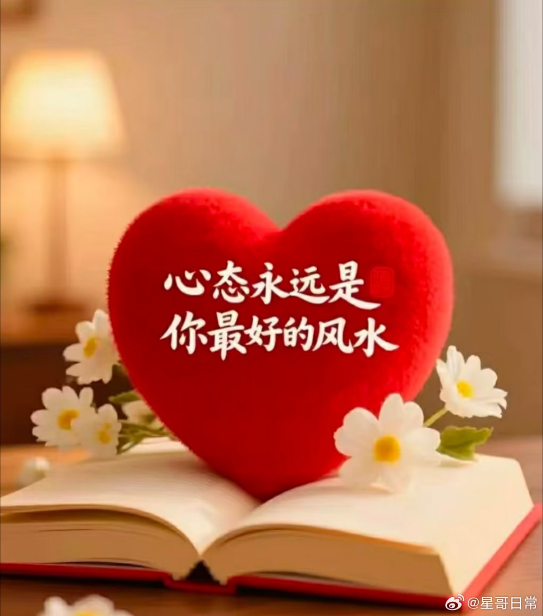 海力士韩股，涨30个点了，人家一天就涨回去了。真羡慕呀，我们的也得加油呀。 