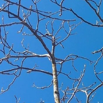 每日一善‎每日一善 ‎阳光‎信用 愿你以快乐为盾，直面各种艰难险阻。我们常常反复