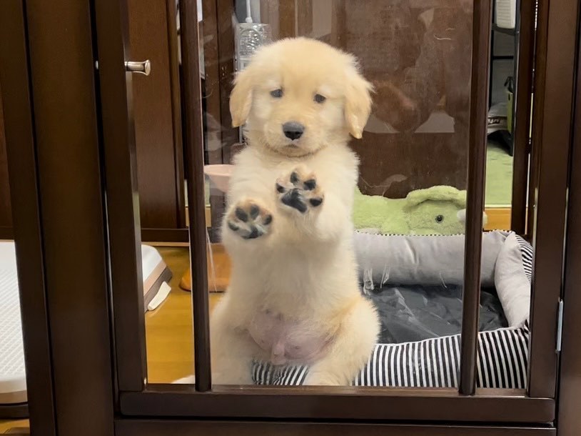 爸爸，你在阳台冷不冷，妈妈还是不原谅你，我尽力了 