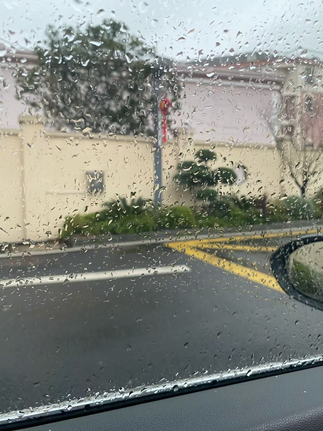 🌸治愈开学 EMO            ——以幽默为铠甲，向春天出发🌸生物