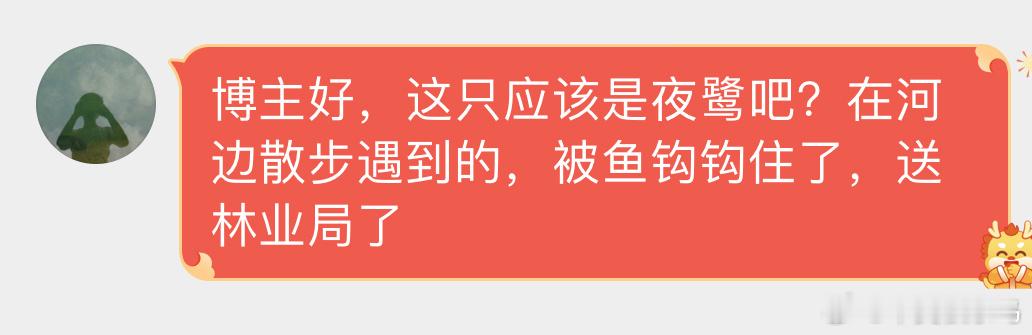 #鸟粉投稿# 河边散步发现一只【夜鹭】它好像误吞了抓住小鱼的鱼钩[衰]已经交给林