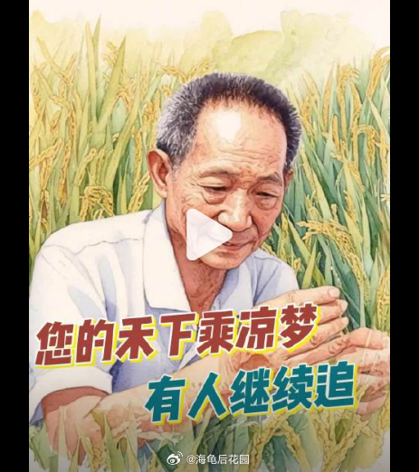 泱泱华夏，后继有人！让袁隆平挠头的学生在沙漠种小黑麦袁隆平院士离开我们5年了
