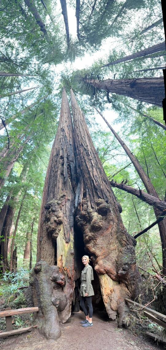 伊万卡打卡穆尔伍兹🌲