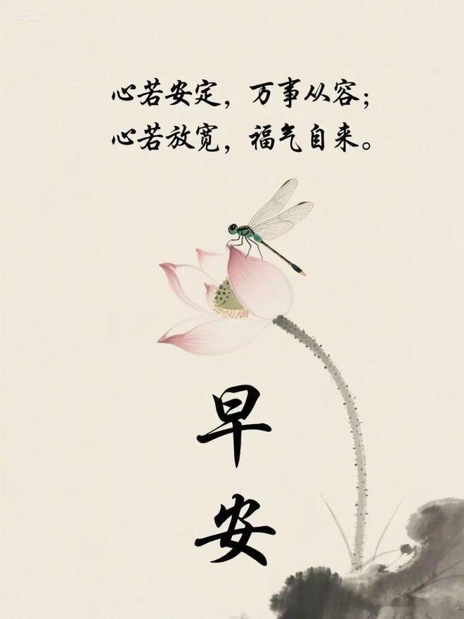 早安掀开窗帘，撞个满怀的晨光☀️。别急着追赶时间，先深呼吸，感受这一刻的宁静❤。