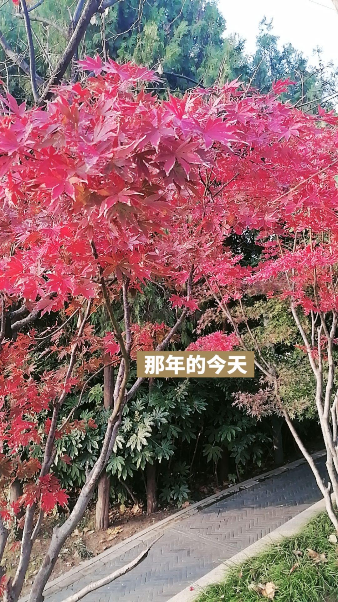 岁月留下的美好回忆 记录生活的一角