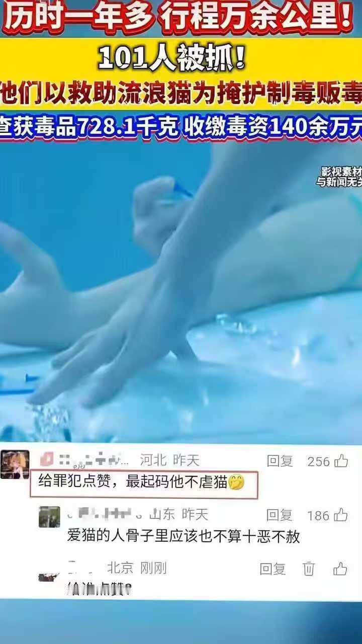 这是人话？ 