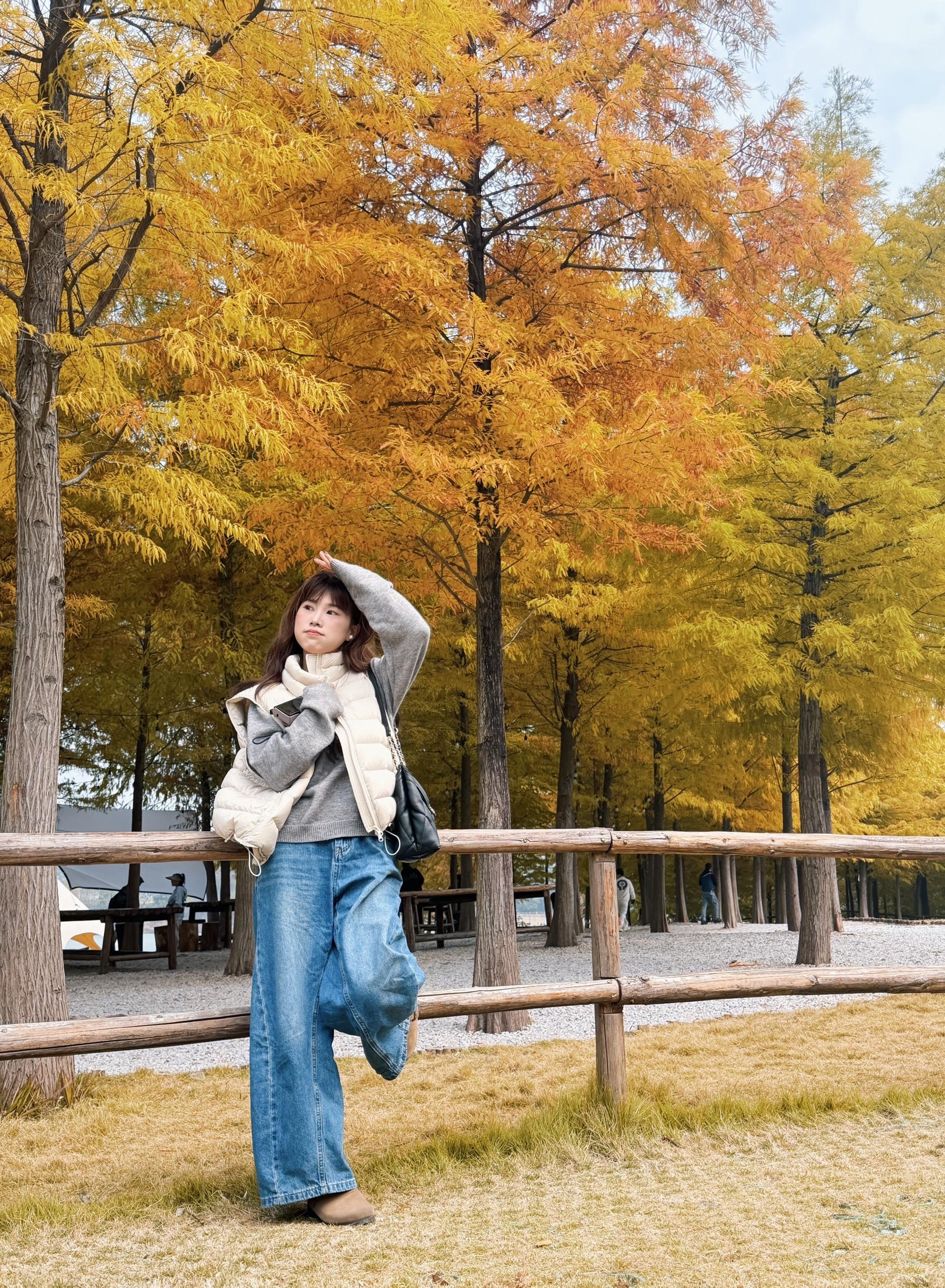 后知后觉又过了一个秋🍂 后知后觉我该好好生活