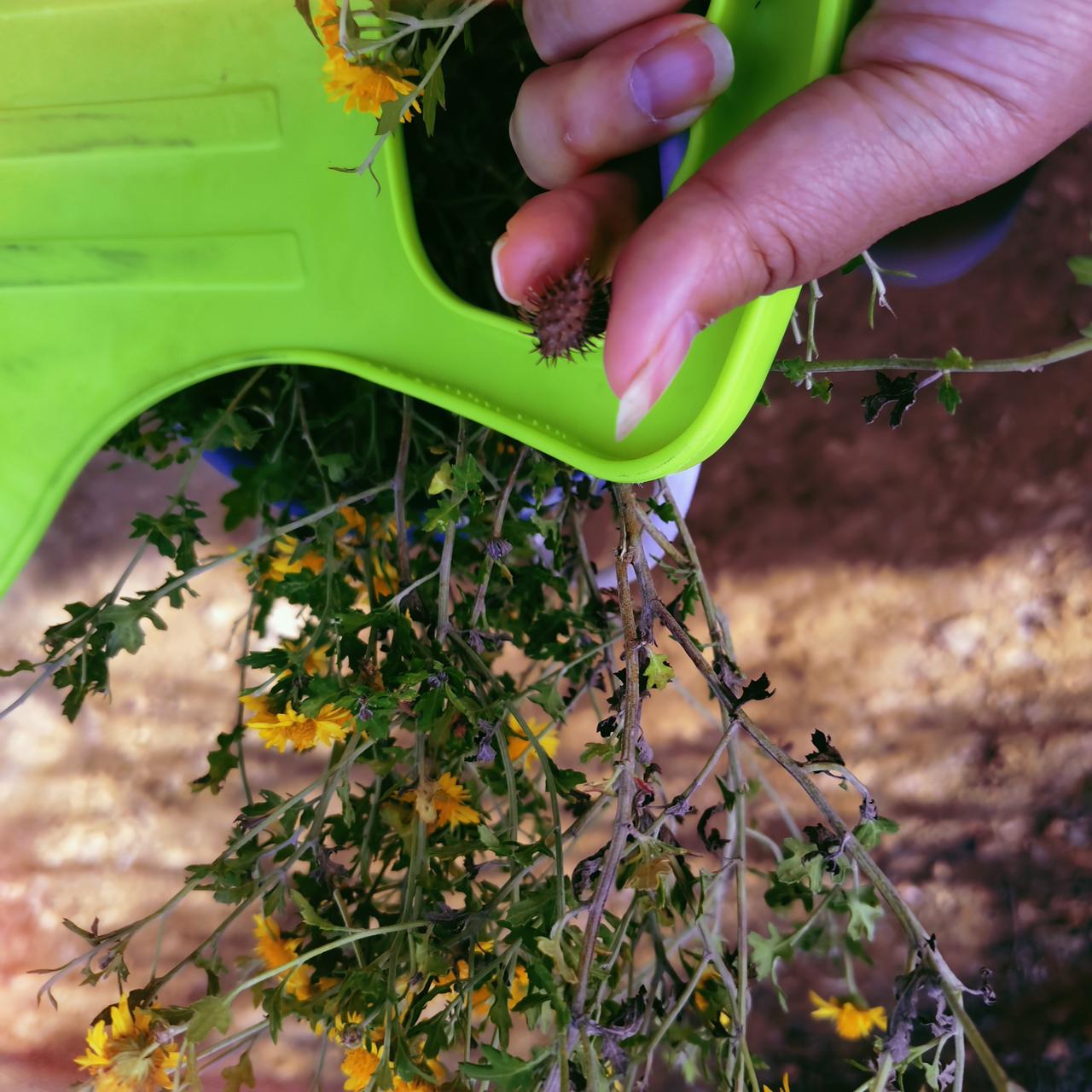 今天天气也太好了吧！不想让儿子在家抱着手机瞎玩，就想着带他去爬咱们这儿的形山～ 